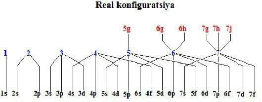 "BIOLOGIYA-KIMYO" GOLD EDUCATION Kurbanov Sherzodbek