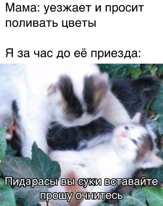 Спаси и увлажни