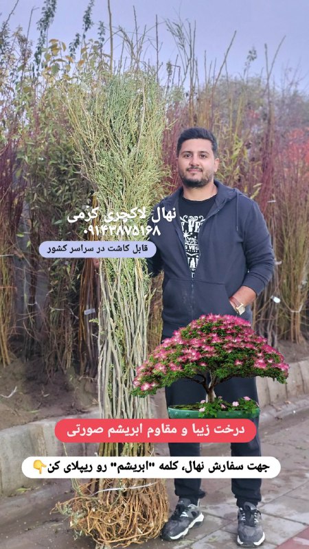 نهال لاکچری. کاتالوگ نهال تزئینی