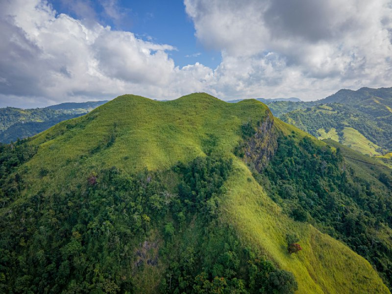 Orocovis, Puerto Rico,