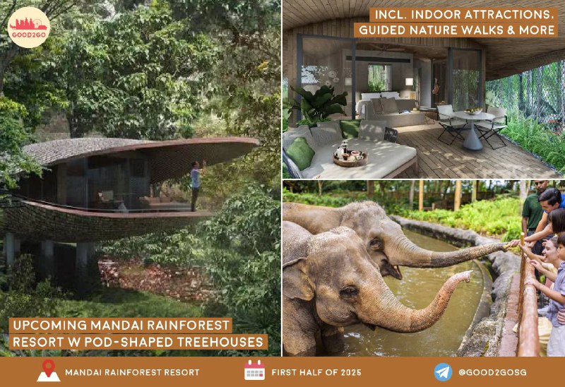 ***🌿*** **Mandai Rainforest Resort** -Upcoming Pod-Shaped …