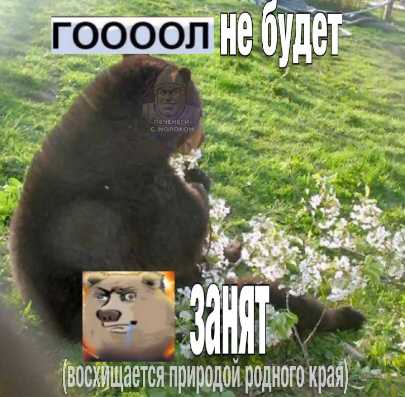 ГООООЛАЧ