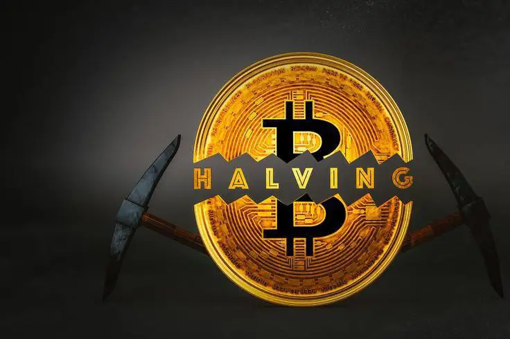 ***?*****Understand Bitcoin Halving For Beginners**