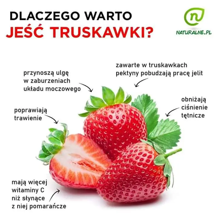 Ekologiczne Gospodarstwa Rolne - Polska