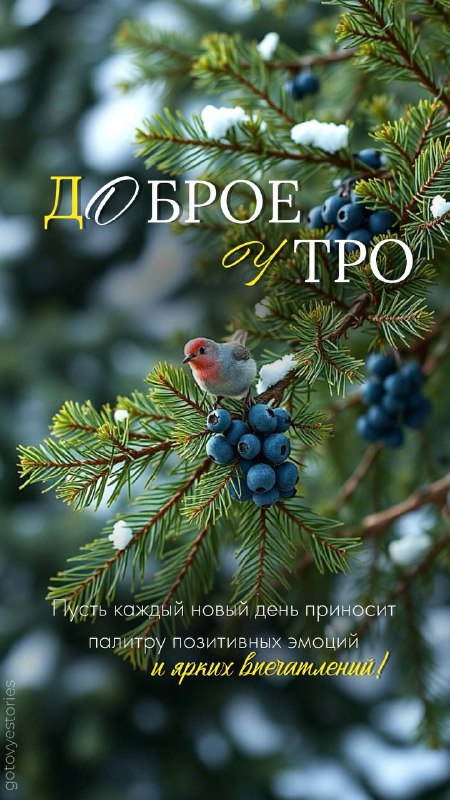 Прекрасного вторника***🤗***