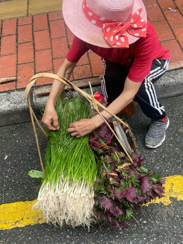 狗推素材池