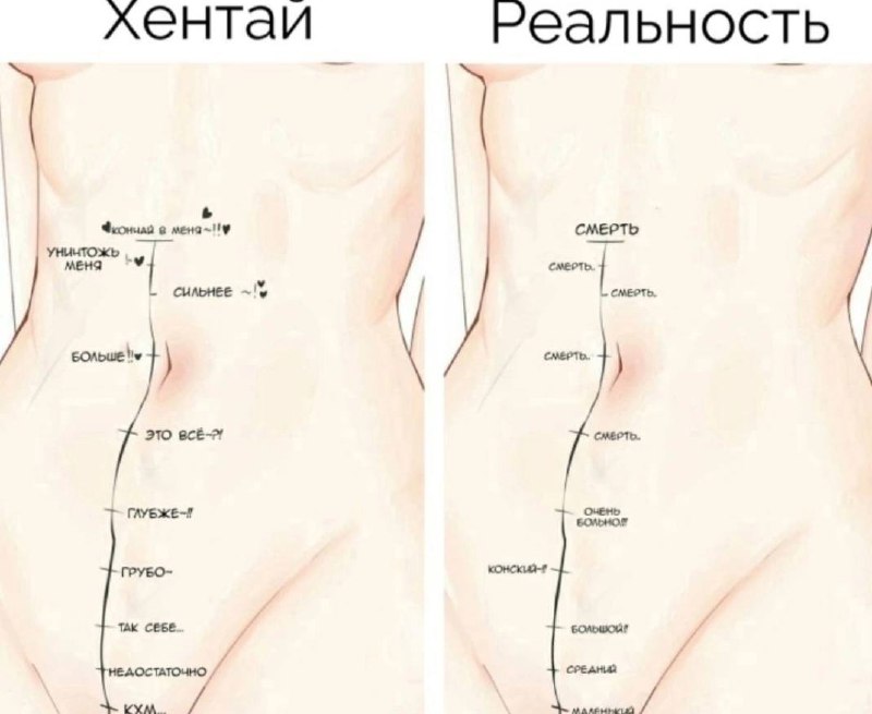 Сексология | Психология отношений