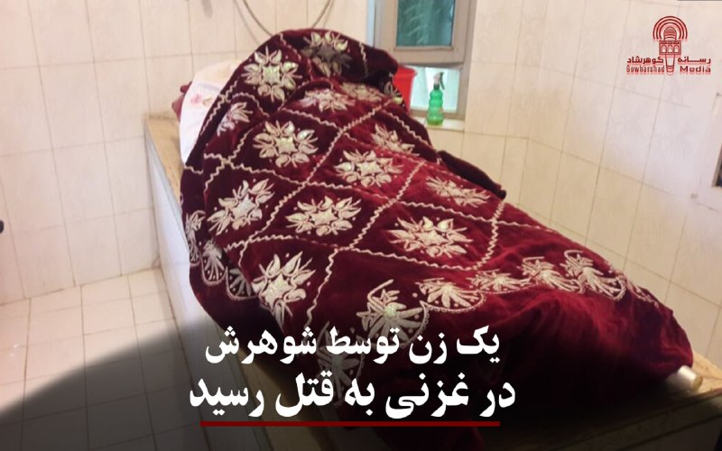 منابع محلی از ولایت غزنی می‌گویند …