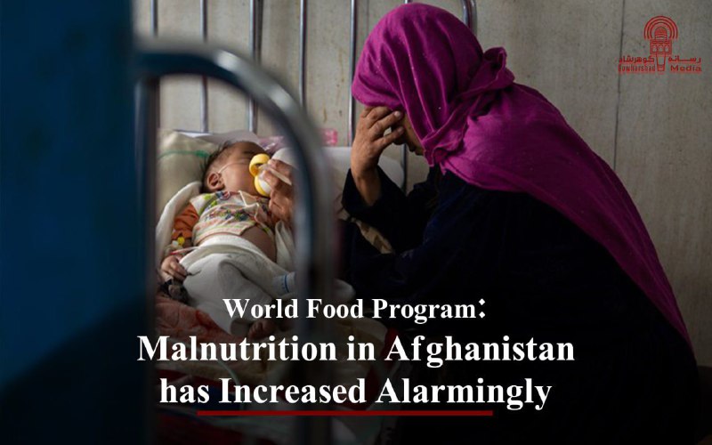 The World Food Program (WFP) has …