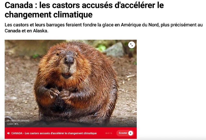 ***🦫*** Canadian authorities blame beavers for …