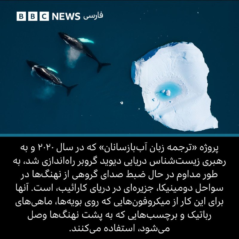 گزیده اخبار علمی