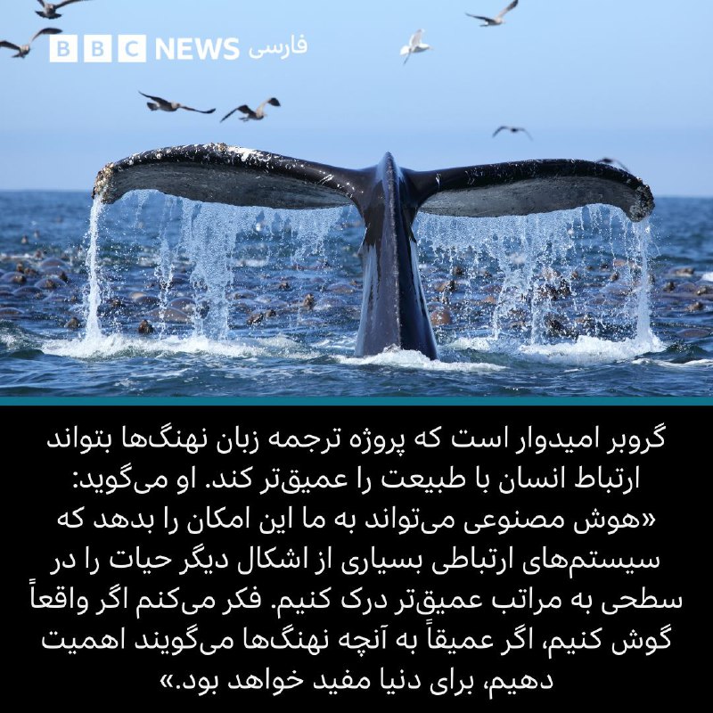گزیده اخبار علمی