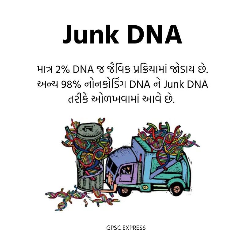 તાજેતરમાં એક અભ્યાસ મુજબ, Junk DNAમાં …
