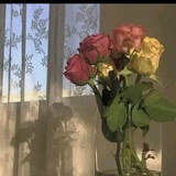 ***?*** قـائـمـة مـلـتـقـى الـسـلـفـيـات لـدعـم قنوات …