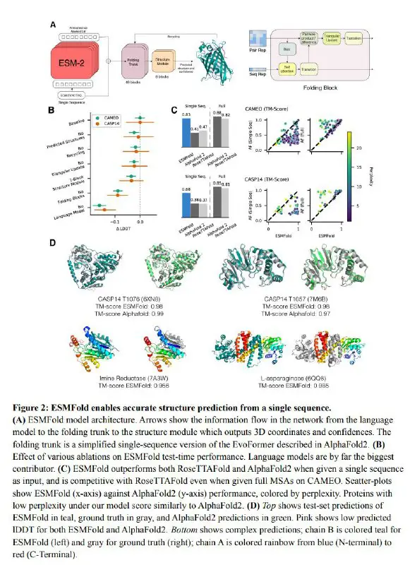 [​​](https://telegra.ph/file/28ef867c4beb76fc774b5.jpg)**ESMFold: Protein Language Models Solve Folding, Too**