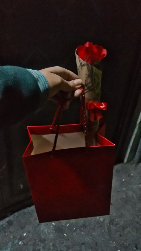 اتاق زیر شیروانی .