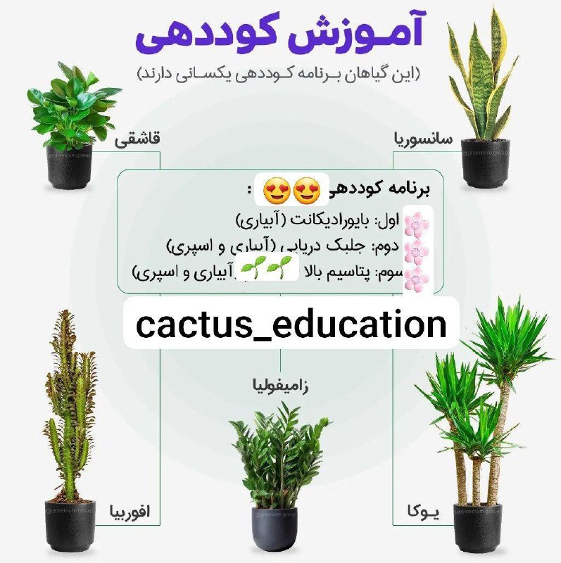 ***?***اگه گیاه سالم میخاین ... ***??***