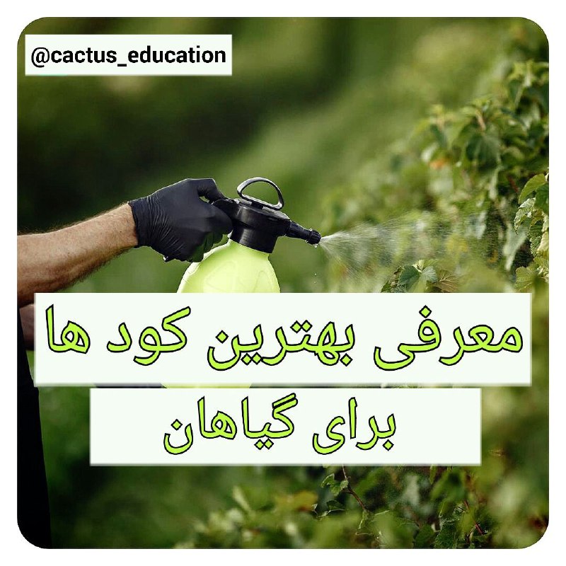 *****🟣***معرفی کود ها: