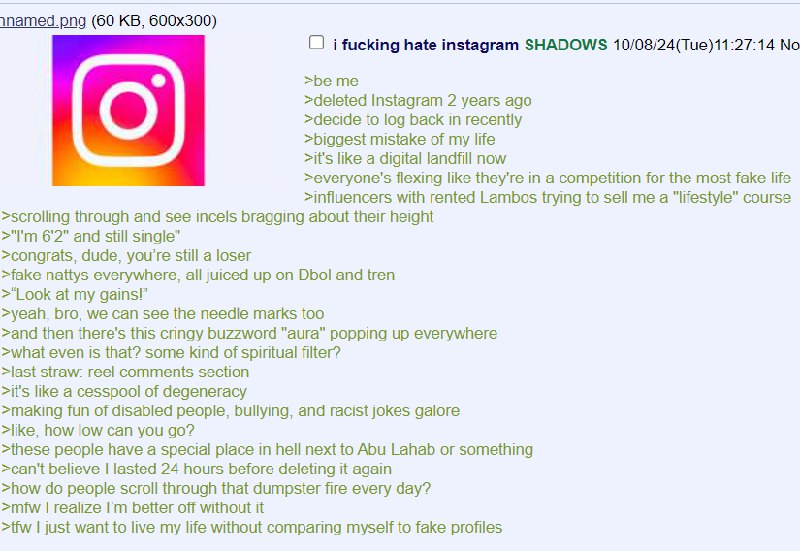 Anon hates instagram