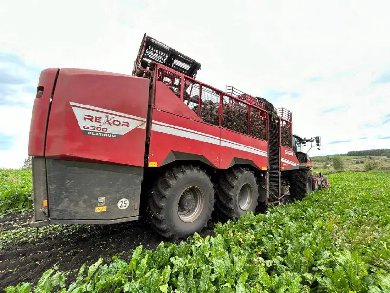 GRIMME RUS (ООО "ГРИММЕ-РУСЬ")