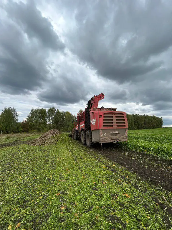 GRIMME RUS (ООО "ГРИММЕ-РУСЬ")