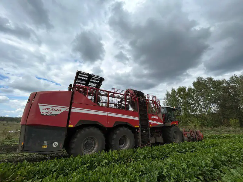 GRIMME RUS (ООО "ГРИММЕ-РУСЬ")