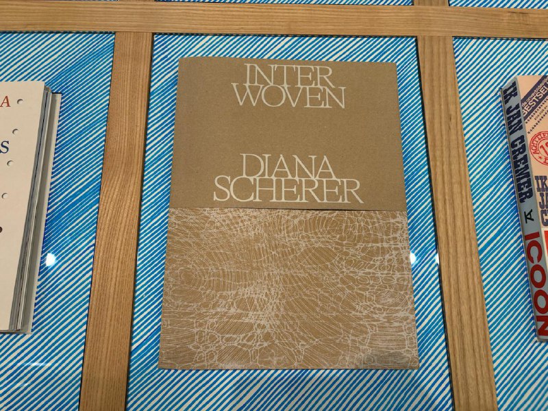 Гроотенс левша