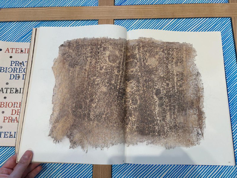 Гроотенс левша