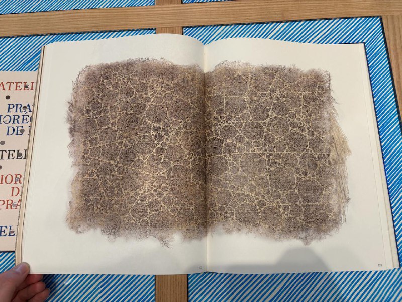 Гроотенс левша