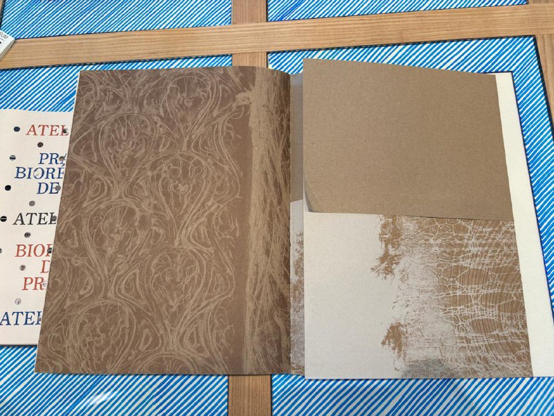 Гроотенс левша