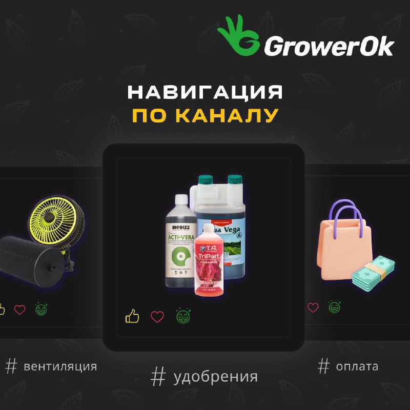 ***📍*** НАВИГАЦИЯ ПО КАНАЛУ ***📲***