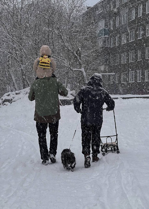 Зима в Простоквашино***❄️***