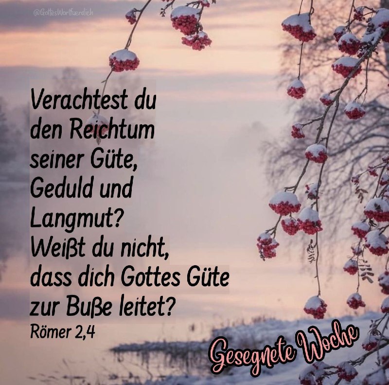 [#Römer](?q=%23R%C3%B6mer) 2,4 [#Wunsch](?q=%23Wunsch) [#Woche](?q=%23Woche) [#verachten](?q=%23verachten) [#Reichtum](?q=%23Reichtum) …