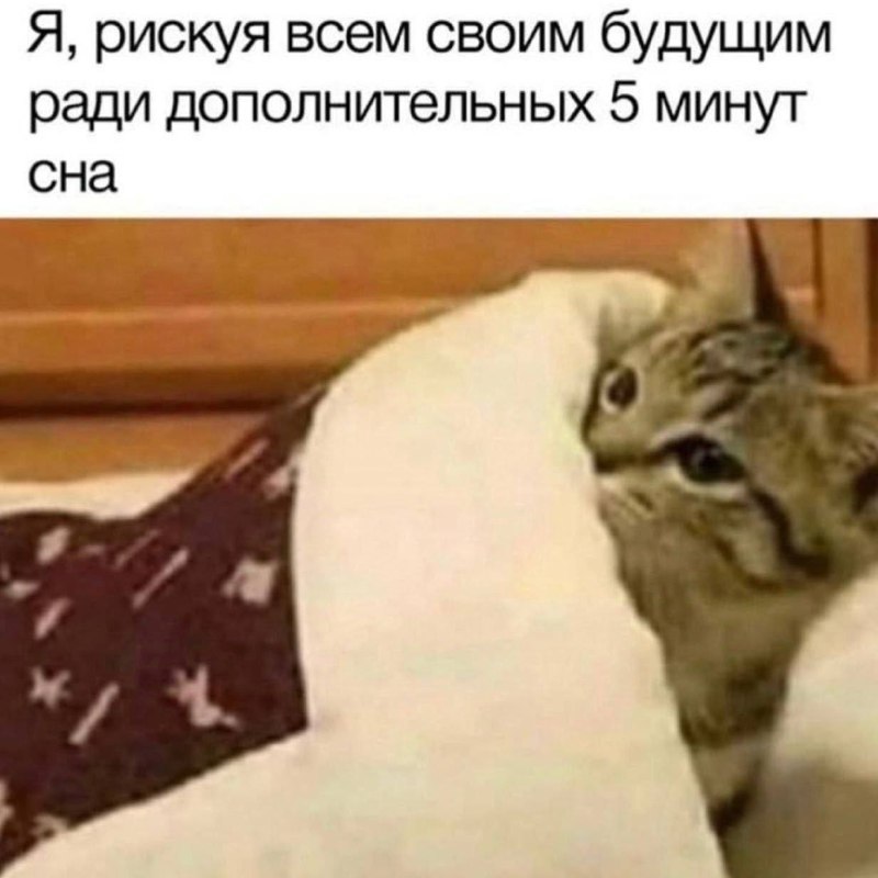 попытка выжить