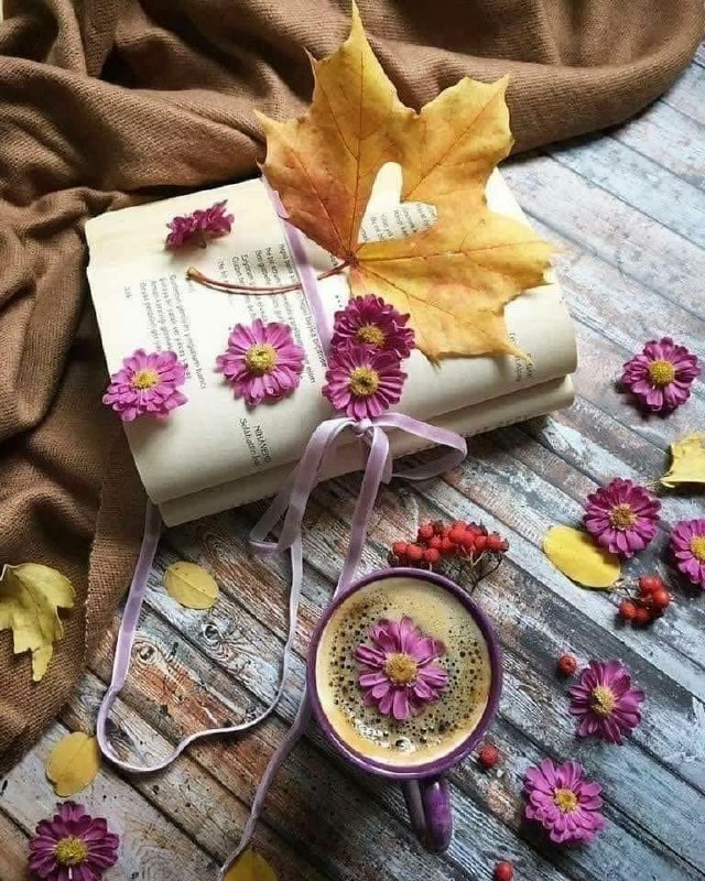 **"دائماً أَبحث عن ما يشبهني ، …