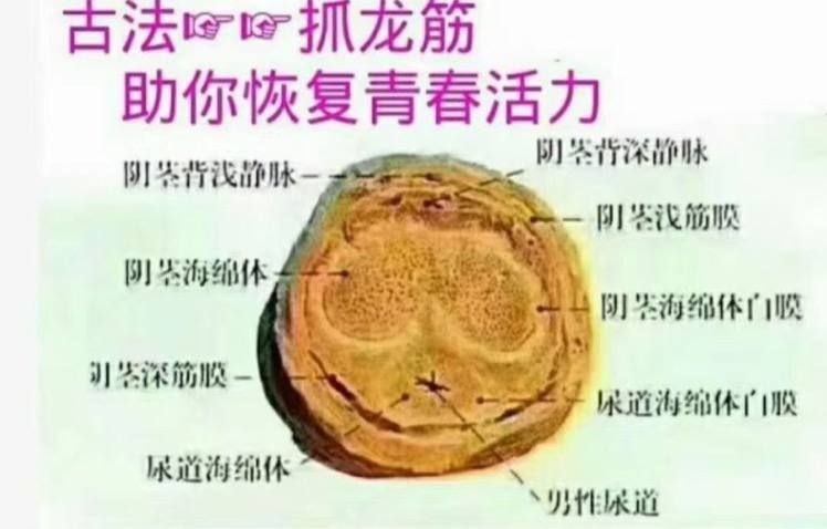 深圳极品榜(认证版)