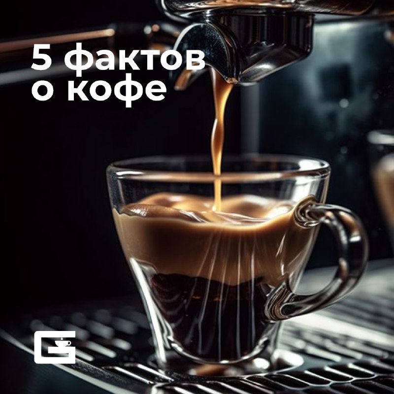 **5 интересных фактов о кофе*****☕️***