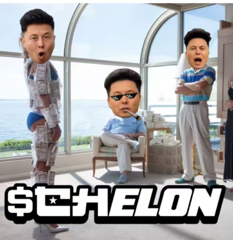 最近跑出来的一个标的$CHELON ，为什么一定要持仓？