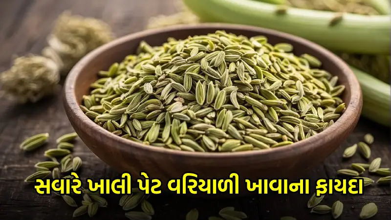 Fennel Benefits In Gujarati: રોજ સવારે ખાલી પેટ વરિયાળી ખાવાથી થાય છે આ 9 અદ્ભુત ફાયદાઓ - Gujarat Local News