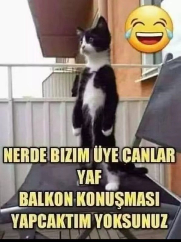 Neredesiniz ya bir belli edin kendinizi***😊******🫶***