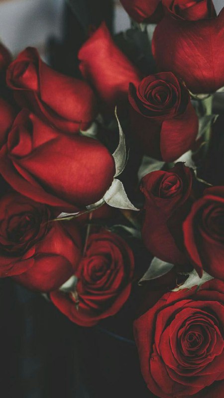 جُلنار 🌺