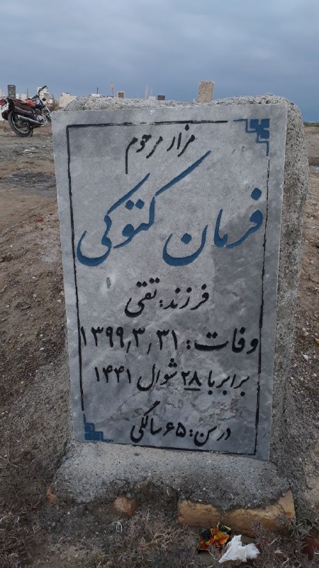 گل صحرا