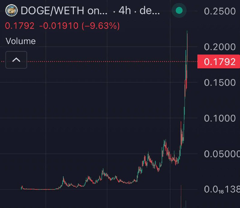 100X ON $DOGE ***🎉***