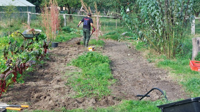 Auch im Garten geht es weiter.