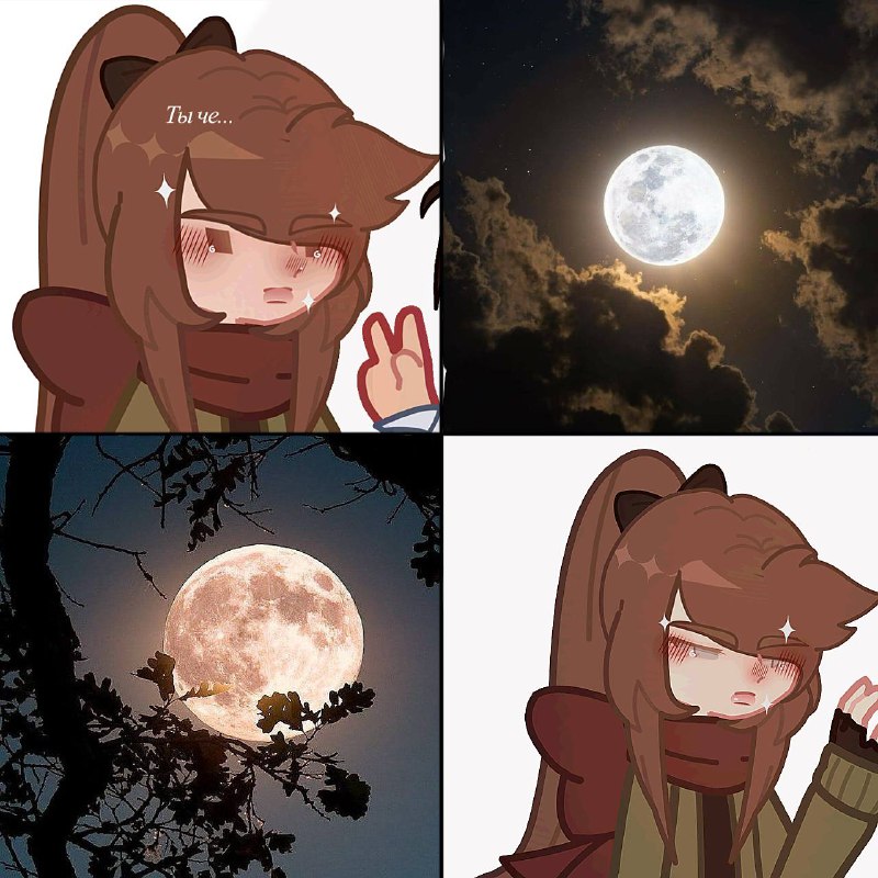 Мы: ***😭***