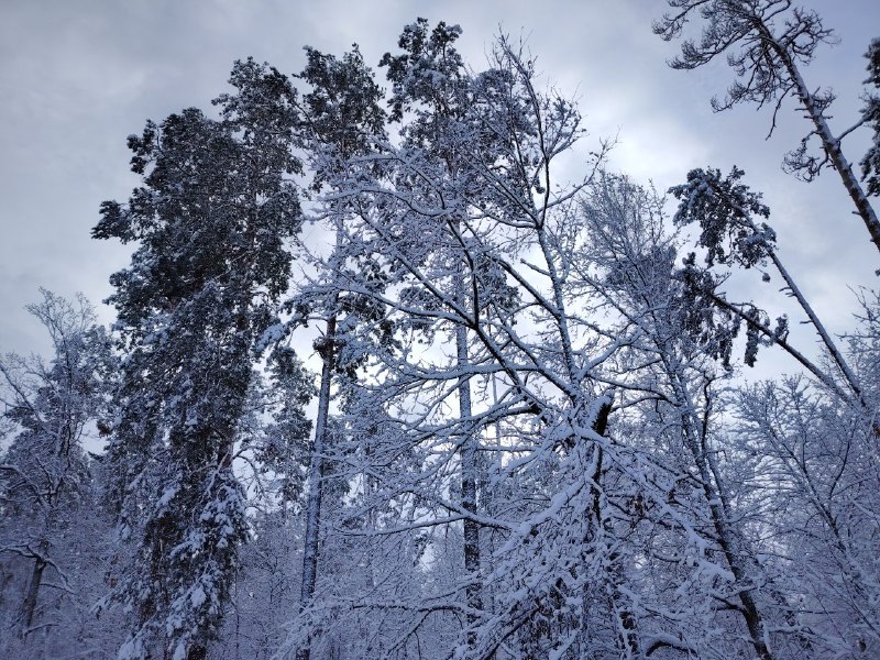 Детский сад 8 г.Рогачёва