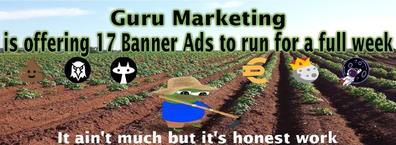 **Banner Ads Package (17 Websites) ***📣*****