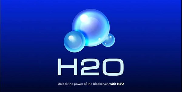 H2O Social DAO is committed to …