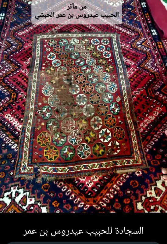 Habaib