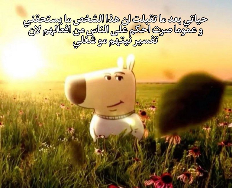 حرفيا***?***